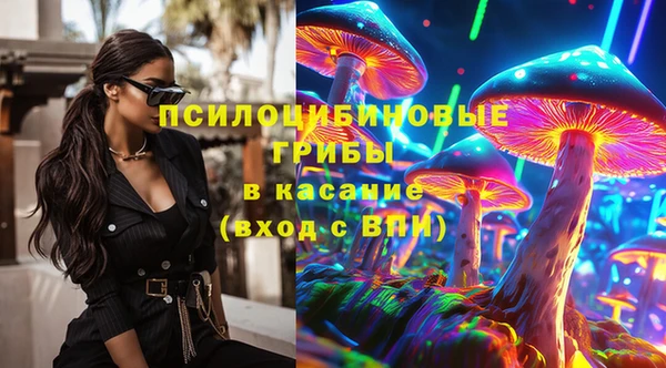 шишки Богородицк