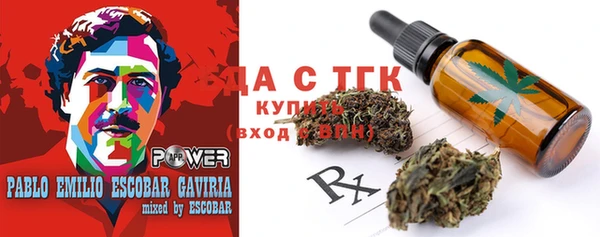 молекула духа Богданович