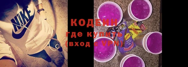 шишки Богородицк
