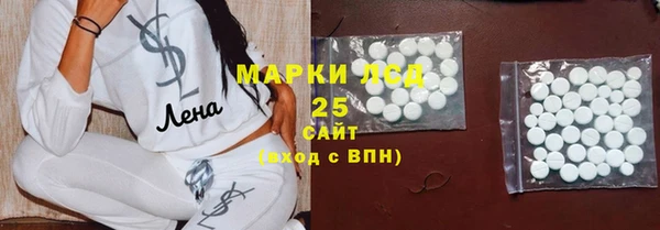 прущие грибы Баксан