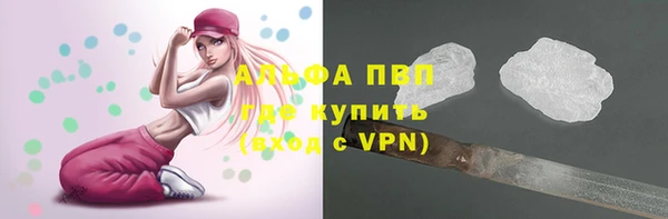 молекула духа Богданович