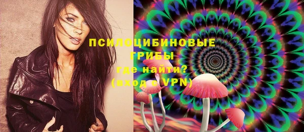 шишки Богородицк