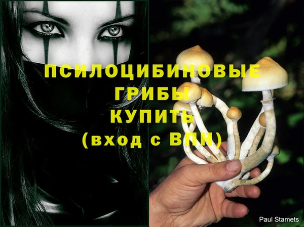 молекула духа Богданович