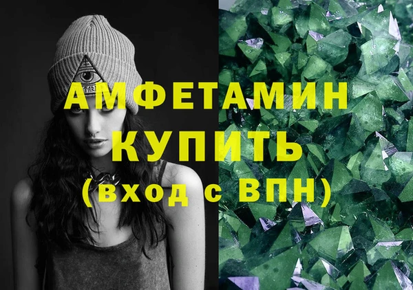 молекула духа Богданович