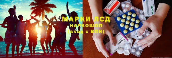 молекула духа Богданович